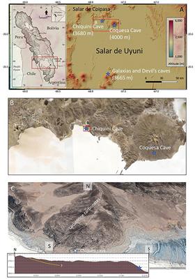 Biospeleothems Formed by Fungal Activity During the Early Holocene in the “Salar de Uyuni”